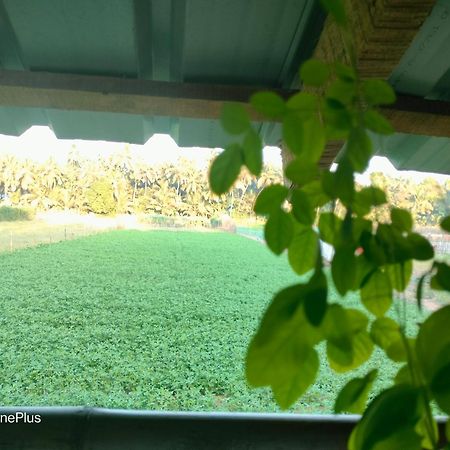 Ocean Sparrow Beach Stay Gokarna  Kamer foto